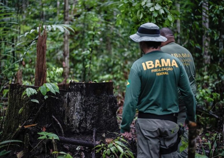 Concurso Ibama 2025: 460 vagas, salário de R$ 9,9 mil